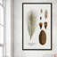 Pin botanique - Peinture-595111423-595111411