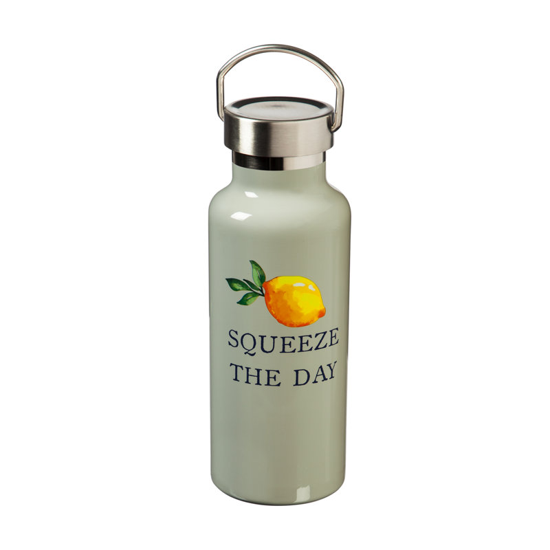 Cypress Home 17 fl. oz. Double Wall Insulated Stainless Steel Water Bottle with