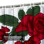 Rideau de douche avec 12 crochets-1654079931