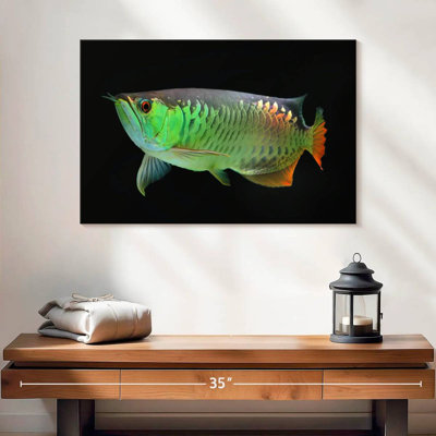 Corbeau arowana