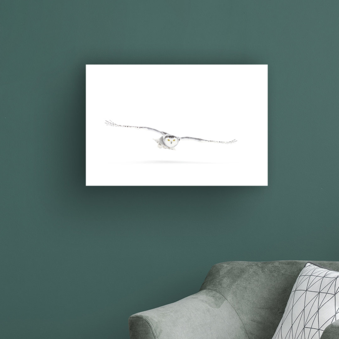 Modern & Contemporary Millwood Pines