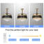 Courtny 42'' Ceiling Fan with LED Lights-1849827235