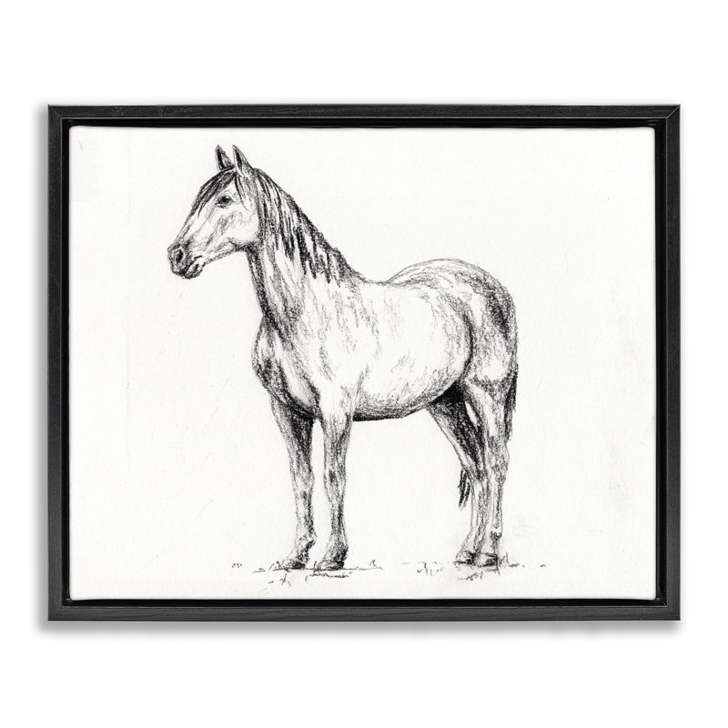 Cheval dans un cadre flottant gris anthracite, design par Leah Noel Art, H 17 po x l 21 po, Cadre flottant noir de jais