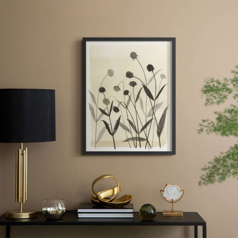 Summer Echinachea II, reproduction encadrée - bois massif, H 11 po x l 9 po, Noir, noir, noir, noir