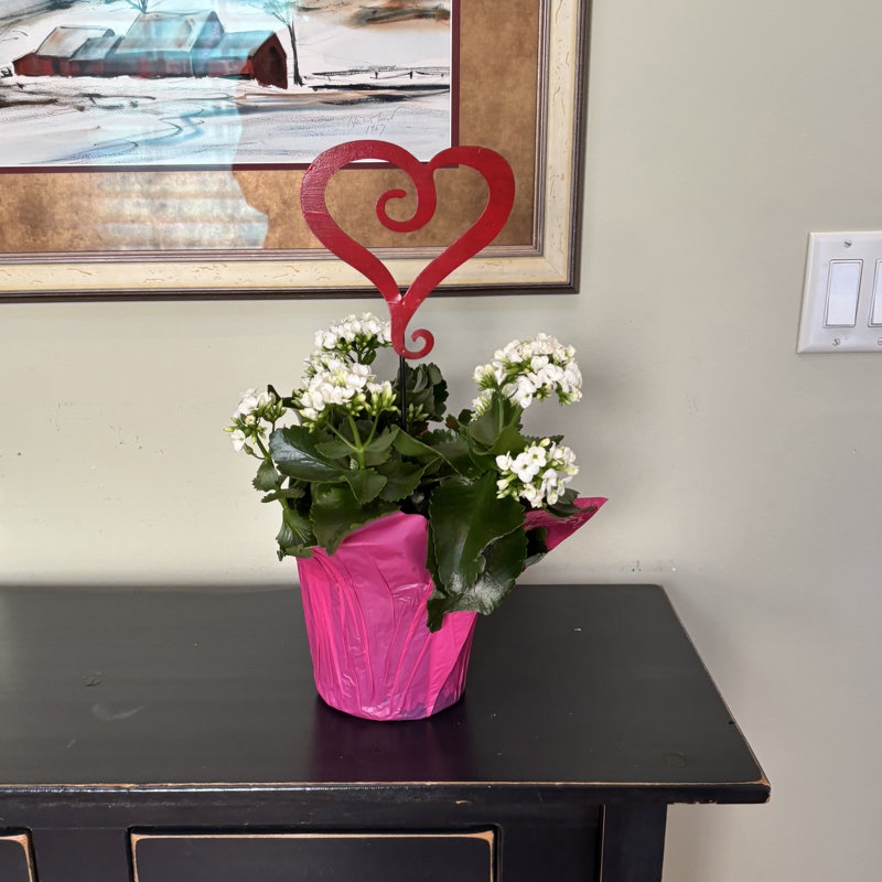 Cœur en fer 6 po sur pot à fleurs ou jardin 10 po