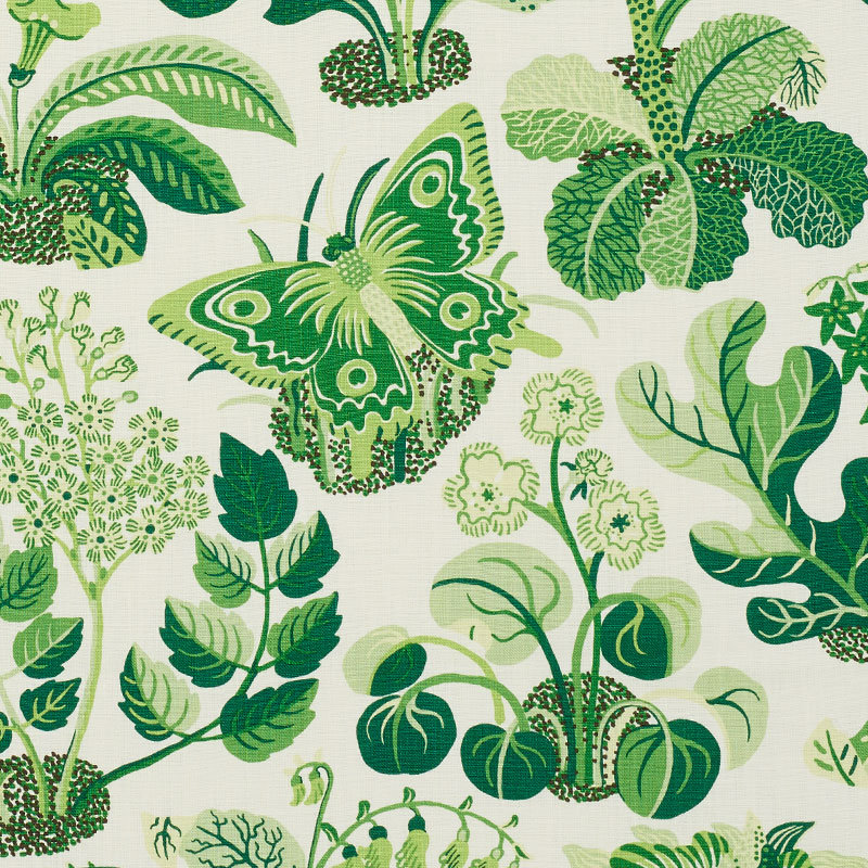 Tissu papillon exotique, Rallonge