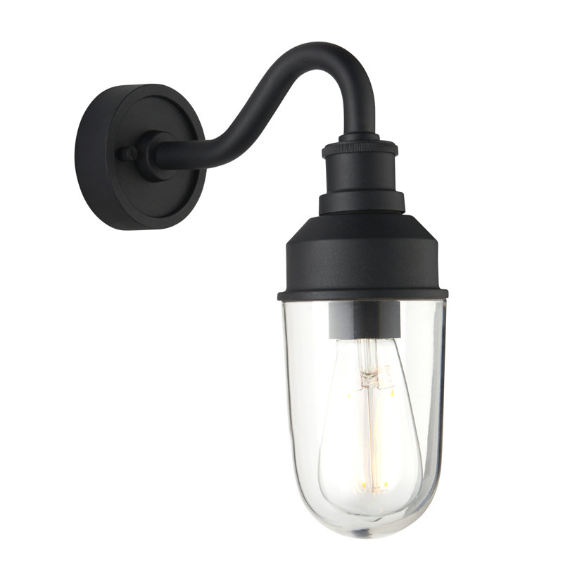 Kevelyn Brass Outdoor Barn Light, Black