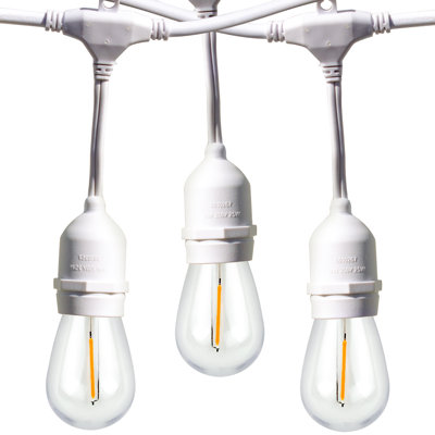 Burroughs  48' Outdoor 15 - Bulb Standard String Light