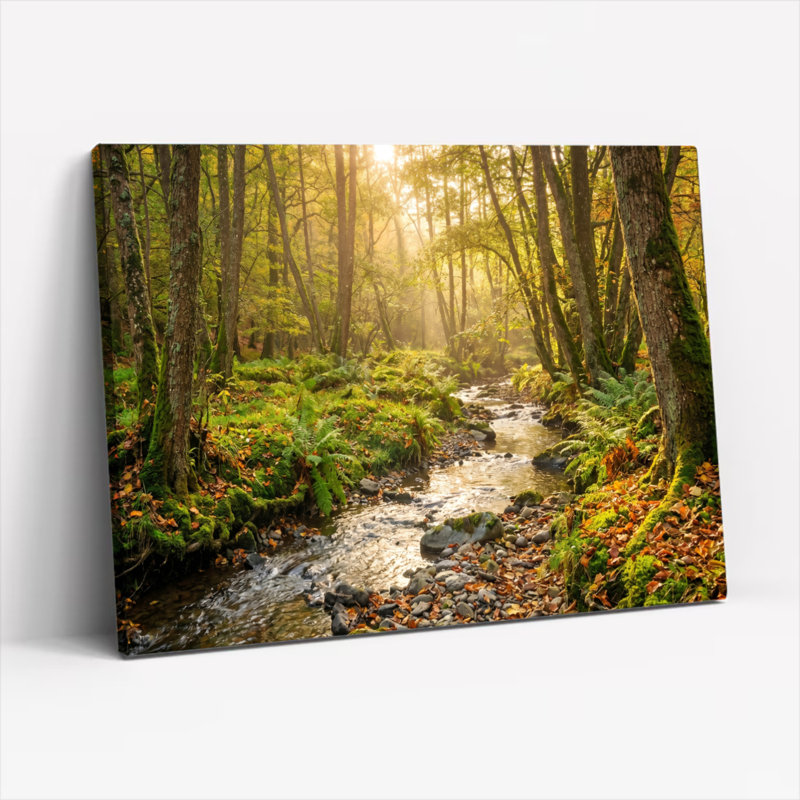Ensemble de 1 tableau sur toile « Ruisseau forestier », 20"H x 30"W, Toile tendue