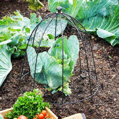 Netted Plant Protector