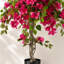 Bougainvilliers artificiels résistants aux rayons UV 4 pi 4