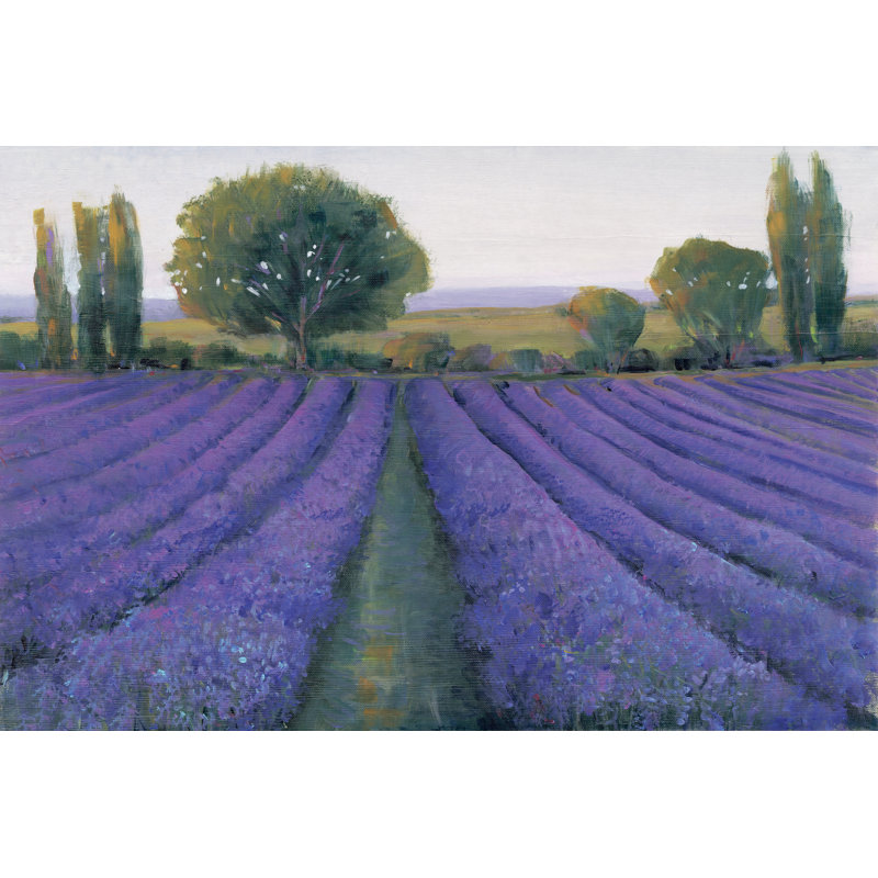 Lavender Field II by Timothy O' Toole - Painting on Canvas, 61cm H x 91cm W, Wrapped Canvas