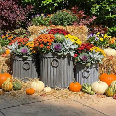 3 Piece Drummer Planters, 14.25"
