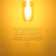 LED Dimmable Light Bulb 4.5W (25W Eqv.) 2200K Amber Candlelight E26 Base