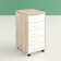 Cowell 15.75'' Wide 5 -Drawer Mobile File Cabinet