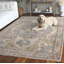Rectangle Oriental Hand-Knotted Wool/Cotton Area Rug in Beige/Gray/Brown-599674129