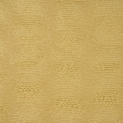 Allure Fabric
