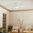 52'' Ceiling Fan with LED Lights-442598552