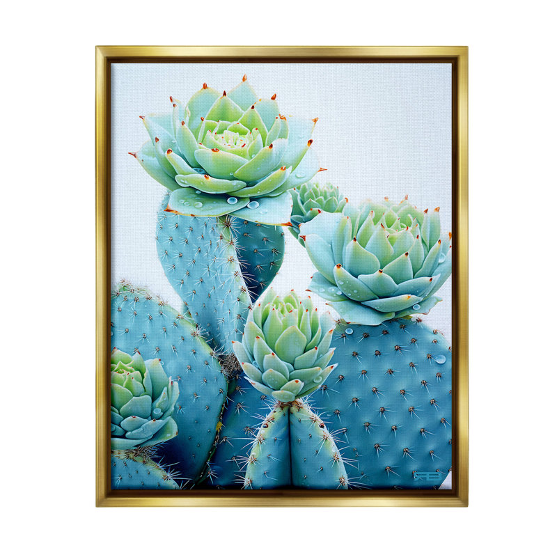 «Cactus With Succulent Blooms» par RB sur toile, Cadre flottant métallique doré, H 31 po x l 25 po