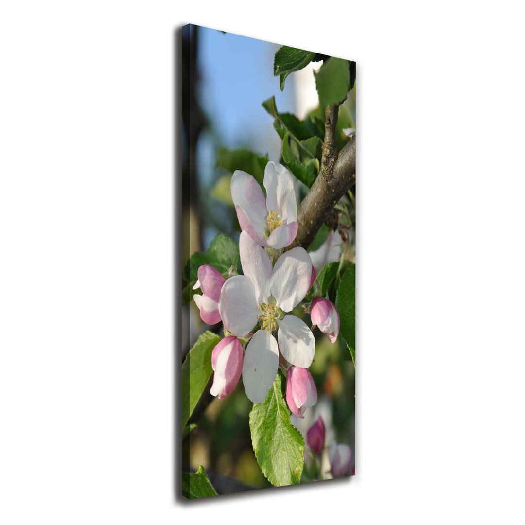 Cherry Blossoms - Wrapped Canvas Print