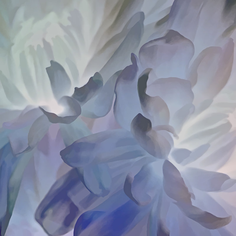 Abstract Floral - Wrapped Canvas Print, 51cm H x 51cm W