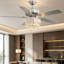 Ceiling Fan