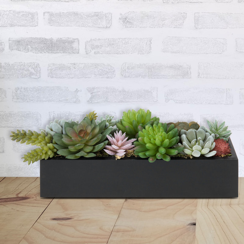 Plante succulente artificielle 2,3 po en pot