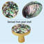 Boutons de commode, poignées de meuble en nacre d'ormeau (lot de 5)-134110936