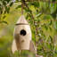 Maison d'oiseaux 8,3 po x 6,7 po x 6,7 po