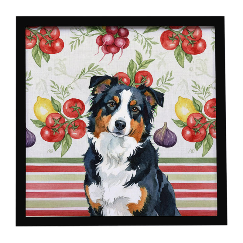«Black Tri American Shepherd Légumes», impression sur métal encadrée