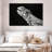 Monochrome Iguana