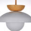 Luminaire suspendu noir à 1 lumière Makrina-765452771