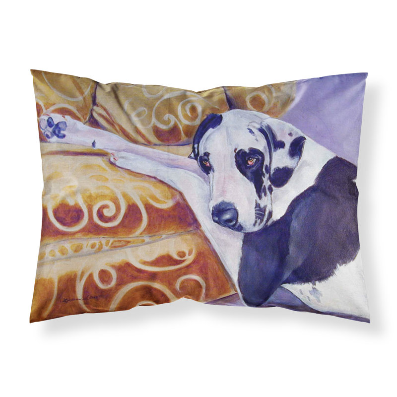  Taie d'oreiller Harlequin Natural Dane