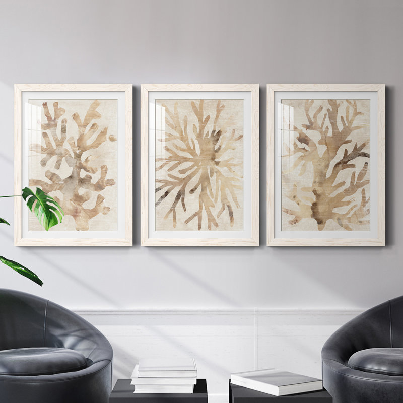 Parchment Coral I - ensemble de 3 reproductions de cadres photo, Blanc, H 24 po x l 54 po x P 1,5 po