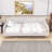 Hiromitsu Upholstered Daybed with Support Legs-224540627-224540628
