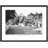 New Malden, Combe Lane C1960 by Francis Frith - Single Picture Frame Print-51257394