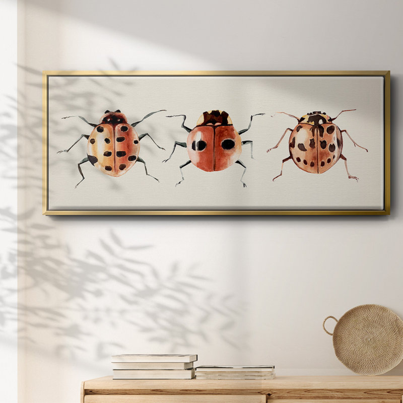 Coccinelle, H 20 po x l 50 po