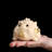 Wealth-Attracting Golden Toad - Exquisite Chinese Ceramic Decor