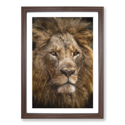 Face of a Lion - Framed Print