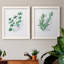 Freshly Picked I - Ensemble de 2 peintures sur toile encadrées-1667209257-1667209259