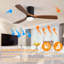 Ventilateur de plafond 52 pouces avec lumières et 3 pales en bois massif