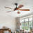 Damecia 5 - Blade Smart Standard Ceiling Fan with Remote Control and LED Light-1604776216-1557132351