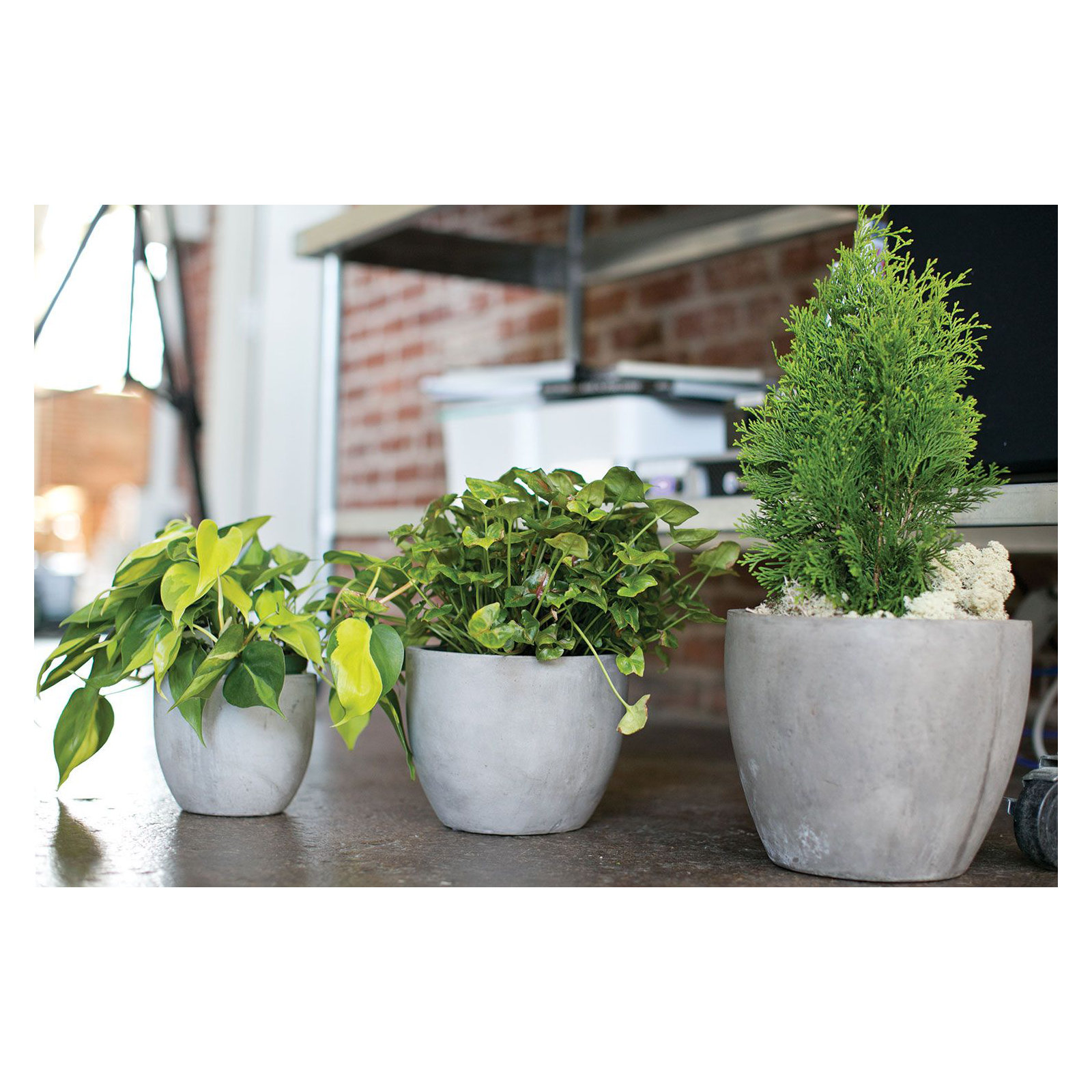 Trixie Pot Planter, 8.7" H x 10" W x 10" D