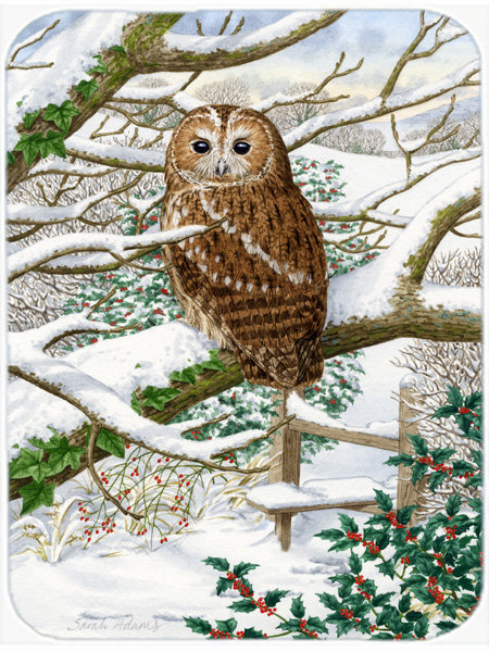 Planche à découper en verre trésors caroline Tawny Owl