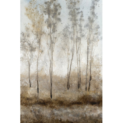 Woodland Shimmering Light II by Tim OToole - Wrapped Canvas Print