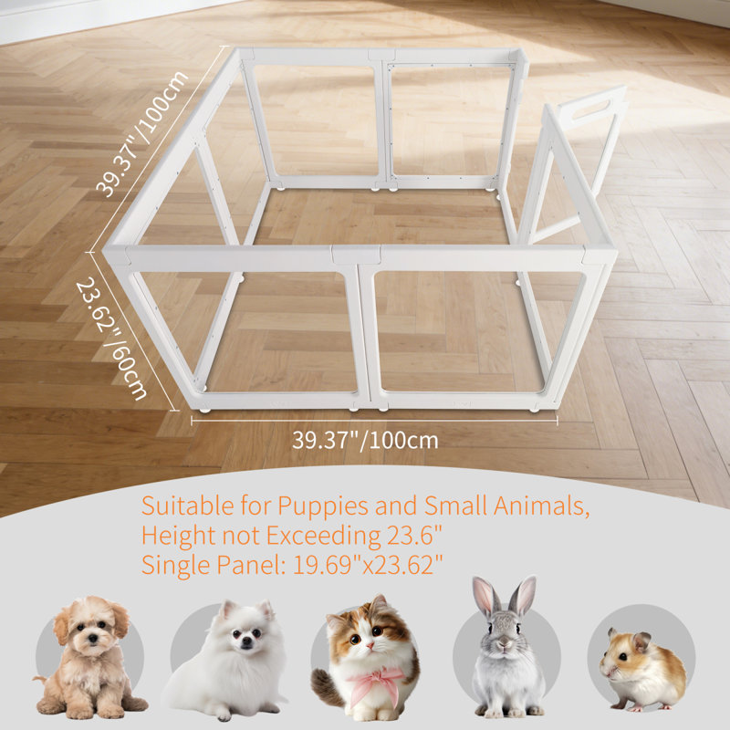 Cages et parcs sécuritaires pour chat en acrylique, transparents, faciles à assembler pour la maison