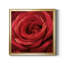 Solo Solo - photographie sur toile encadrée-96482039-96482044