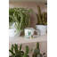 Cheshire Ceramic Coffee Mug