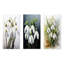 Ensemble de salon Kanisha - Snowdrops-103229010