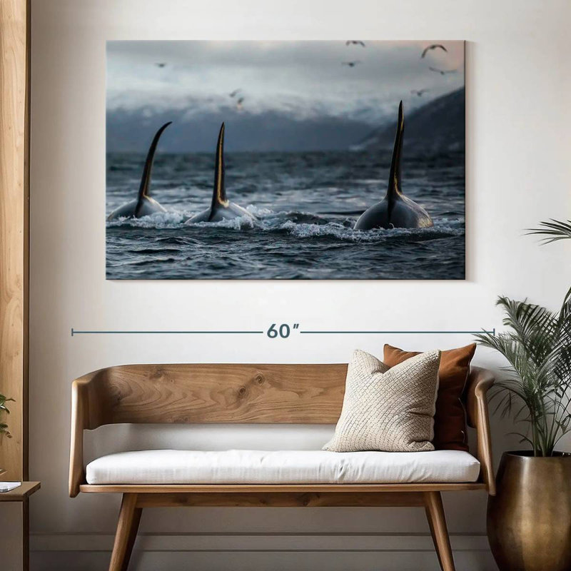 Brampt Norvège Orca Trio